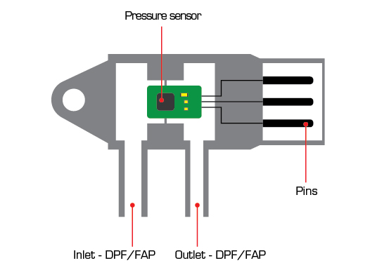dps cross section